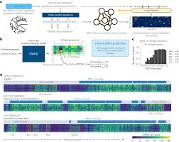 Unlocking the Power of Deep Protein Language Models: Advancing Disease Variant Effect Prediction on a Genome-wide Scale - 1