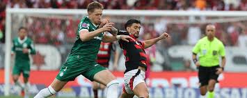 Palmeiras Vs Flamengo