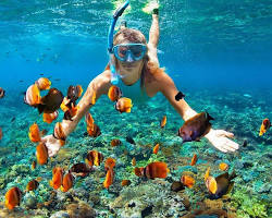 Galapagos Snorkeling, Ecuador