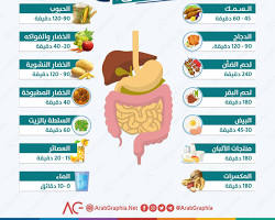 صورة هضم الطعام