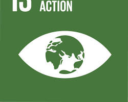Εικόνα Climate Action SDG icon