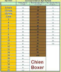 Correspondance, calcul des ges entre chien, chat et homme