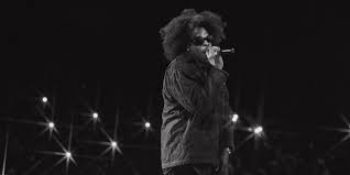 Here’s What Went Down at Jay-Z’s Headlining Roots Picnic Show