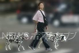 Yahoo!ニュース - News update
