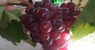 Resultado de imagen para imagenes uvas