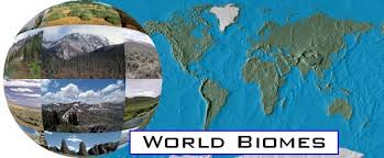 Image result for organisms and their environment