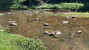 North Carolina Drought Crisis: Eno River Drying Threatens Chapel Hill and Carrboro Water Supply