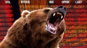 Image result for bear market