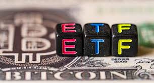 Vanguard ETF Performance and Market Trends: VOO vs. IWM