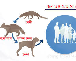 Image of জলাতঙ্কের লক্ষণ