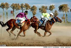 Image result for IRAN HORSES