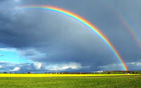 si tu veux l'arc-en-ciel... Images?q=tbn:ANd9GcTwa1cs3bAHkr-YA1CAGw7cRuZ7ojM7MdMBnyVA8SMN5j70rIGIlQ