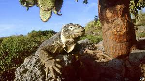 Image result for pictures gallery for unesco heritage sites of the world