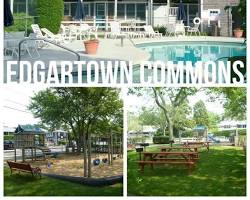 Image of Picnic in the park in Edgartown