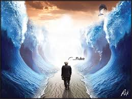 Image result for religious miracles