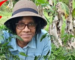 Imagem de indigenous woman using a mobile app to identify medicinal plants