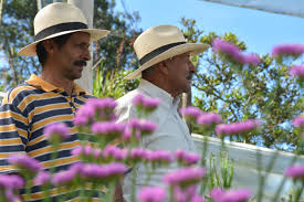 CIUDAD SUR - News update