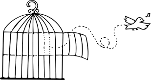 Resultado de imagem para mudei