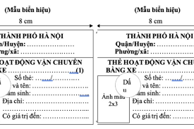 Tin thời sự mới nhất ngày 1/12: Hà Nội dự kiến cấp thẻ hành nghề cho xe ôm