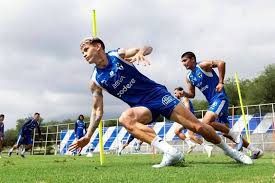 Agarren vuelo, Rayados