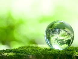 Resultado de imagem para gestor ambiental