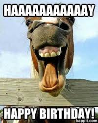 Image result for funny birthday