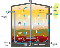 Image of Anaerobic Digesters