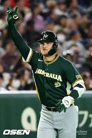 호주 체코 아이콘