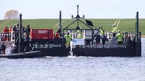 Bald Teil neuer Herde - Wal „Timmy“ auf dem Weg in die Freiheit!