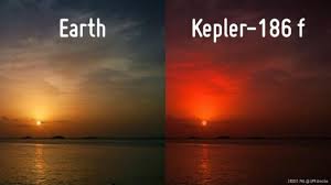 Image result for kepler photos