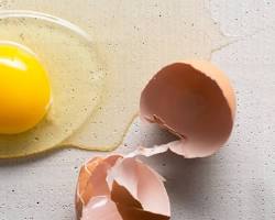 Egg yolks