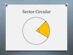 Resultado de imagen de sector circular