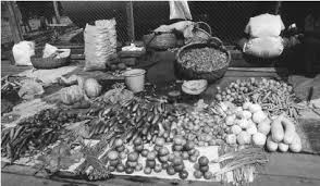 Image result for GUYANA INDENTURED INDIANS