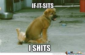 Puppy Is Tired Of Cat Memes by rorschach - Meme Center via Relatably.com