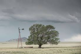 Over 12K without power in San Antonio as cold from storms in with 45 mph winds