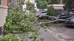 FirenzeToday - News update