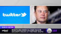 Video for elon musk twitter