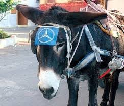 images?q=tbn:ANd9GcTxkpRxaHMjv8-bIIyE5kUS2KRUihsiYfGZ0ws5-1jSJA2AuPM_3A