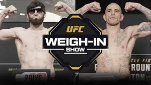 Sherdog - News update