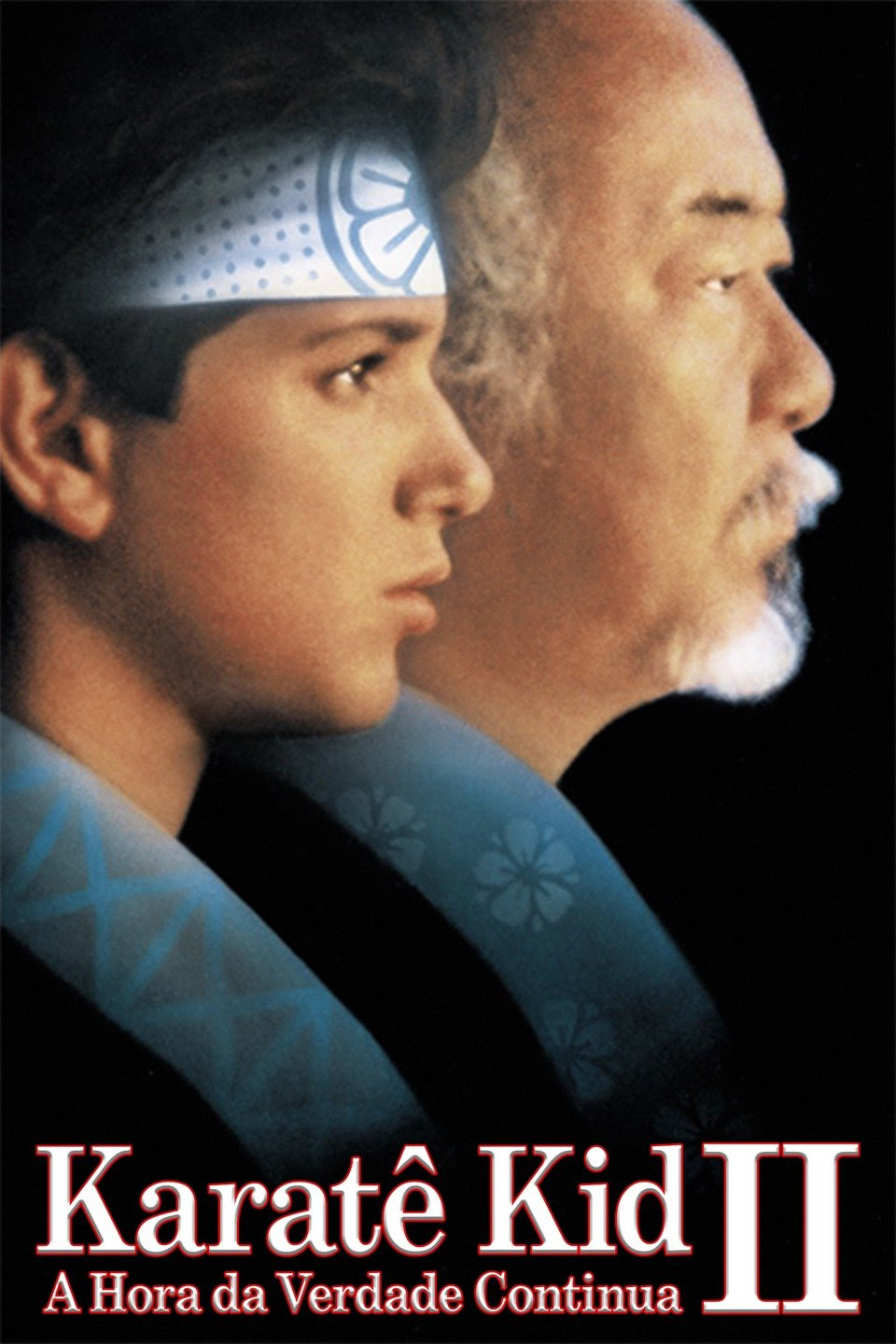 Karate Kid 2: A Hora da Verdade Continua