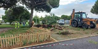 Royan: Arbre s'écrase sur des voitures & Grand Prix équestre captivant! - Imagen principal del artículo