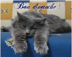 Résultat de recherche d'images pour "gifs bon dimanche pluvieux"