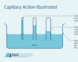 صورة capillary action