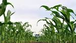 track with land reform policy