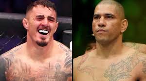 MMA Junkie - News update