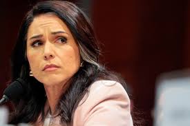 Tulsi Gabbard Resigns as U.S. Intelligence Chief