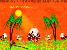 Image result for pongal festival images