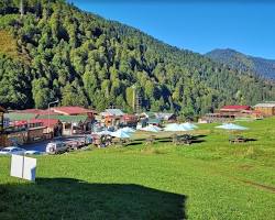 Ayder Yaylası Kamp Alanı Rize resmi