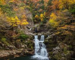 三段峡の紅葉の画像