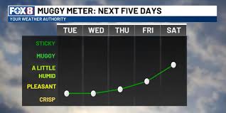 FOX 8 Local First - News update